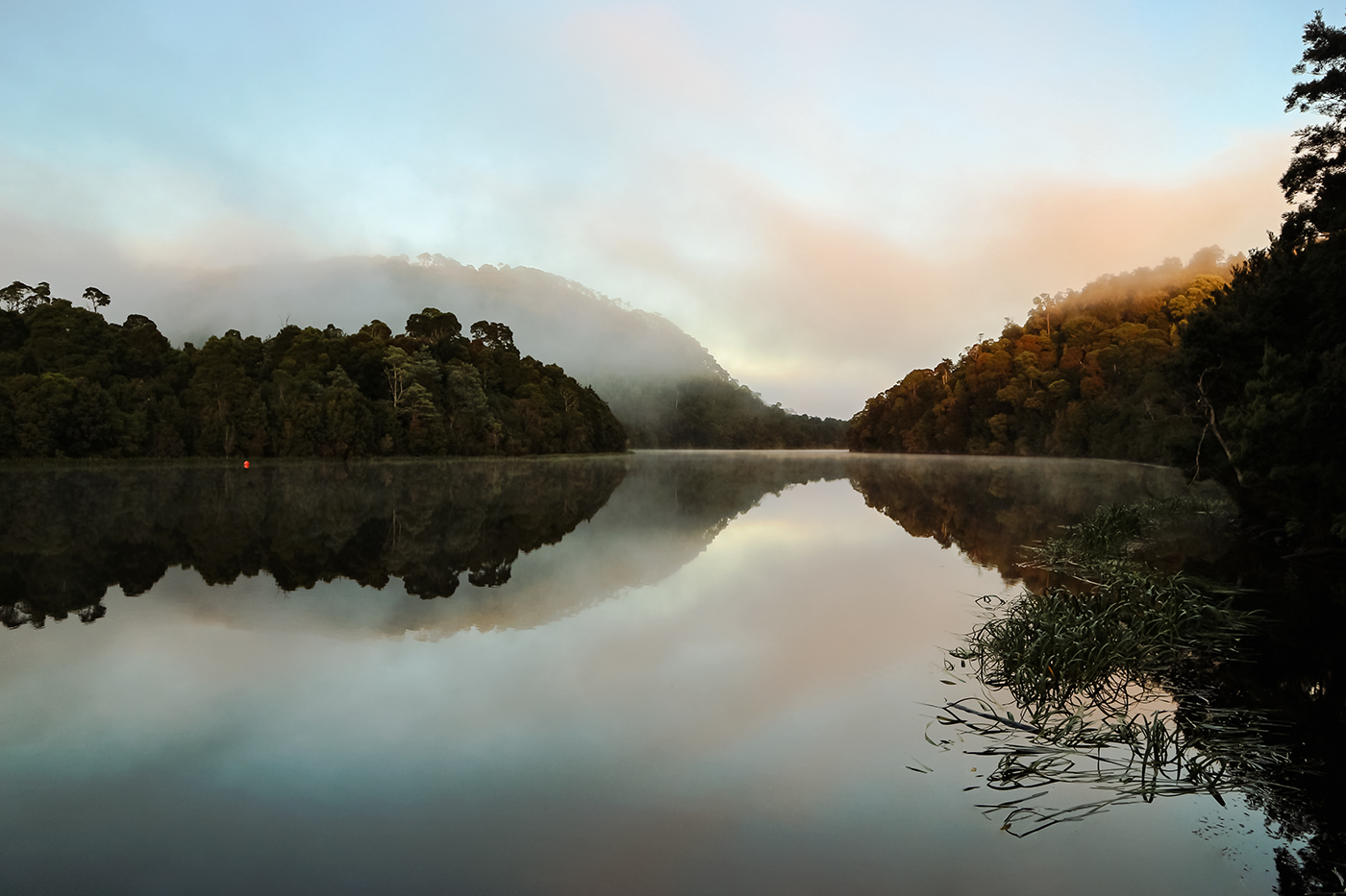 Чуть ночь превратится в рассвет