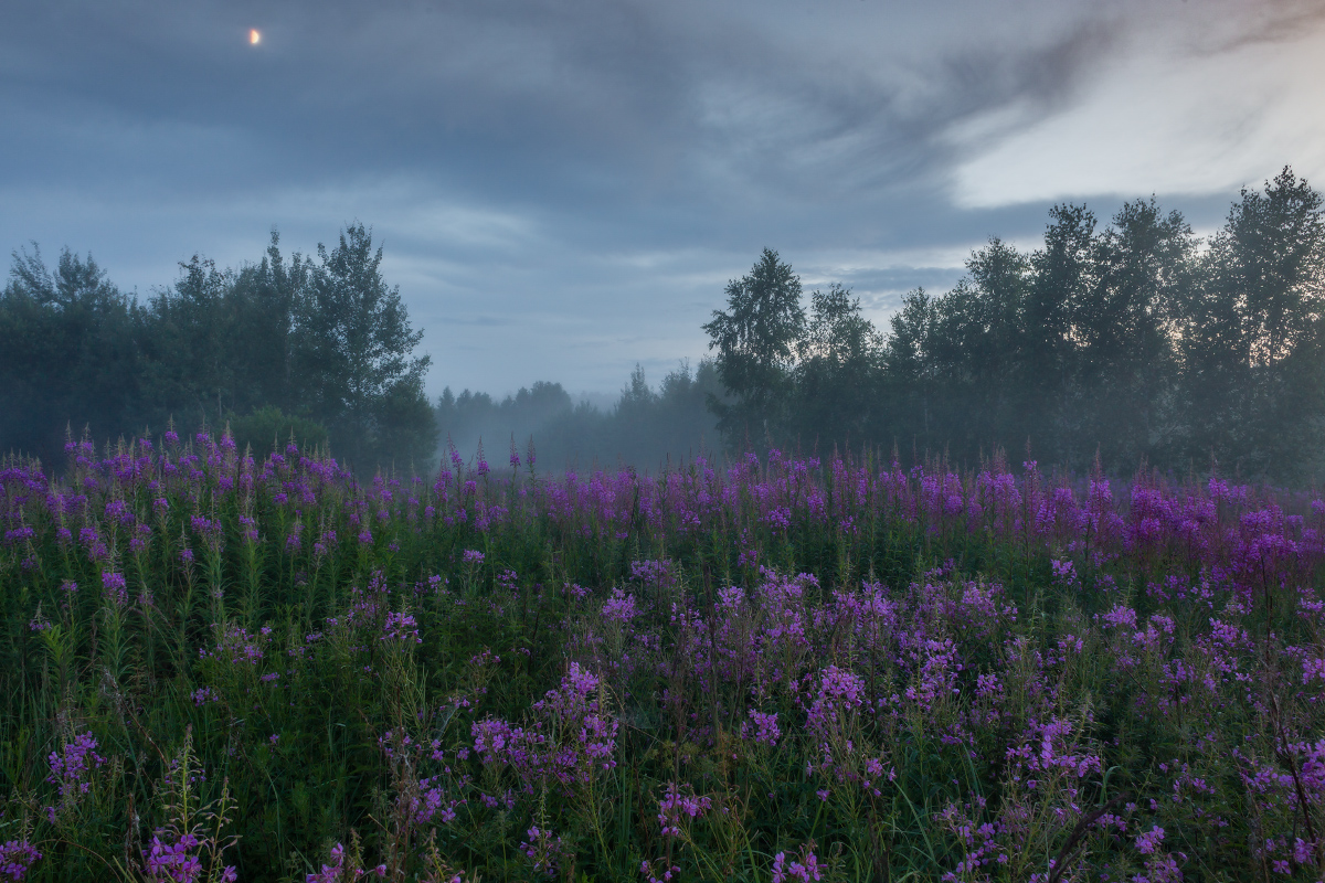 Смеркалось