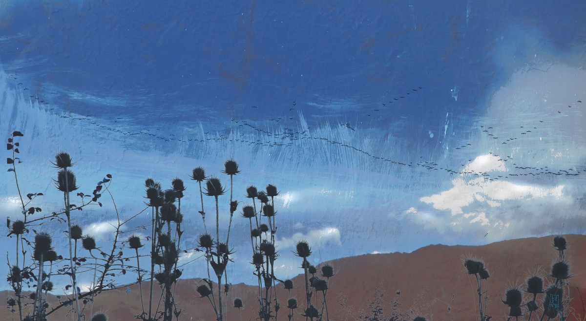 журавли на все небо