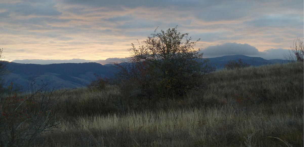 Чуть ночь превратится в рассвет