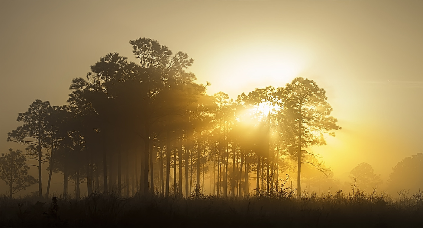 Чуть ночь превратится в рассвет.
