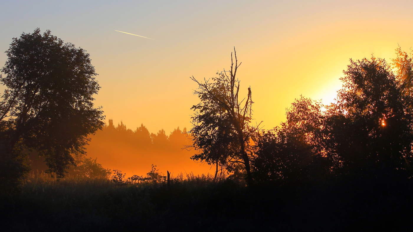 Чуть ночь превратится в рассвет