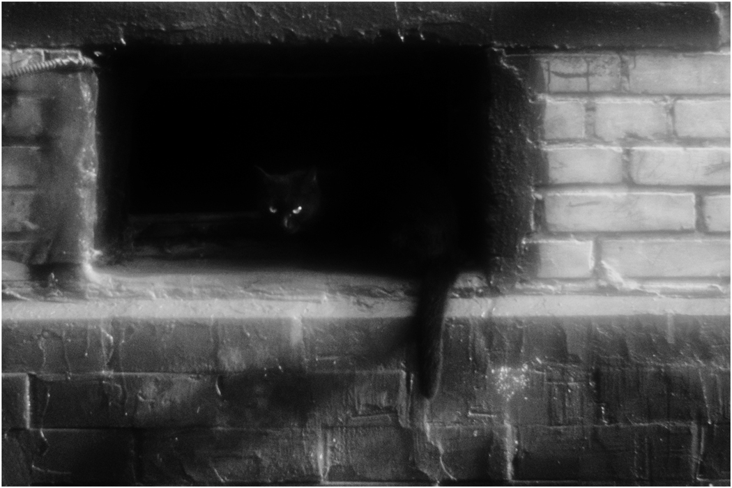 Чуть ночь превратится в рассвет