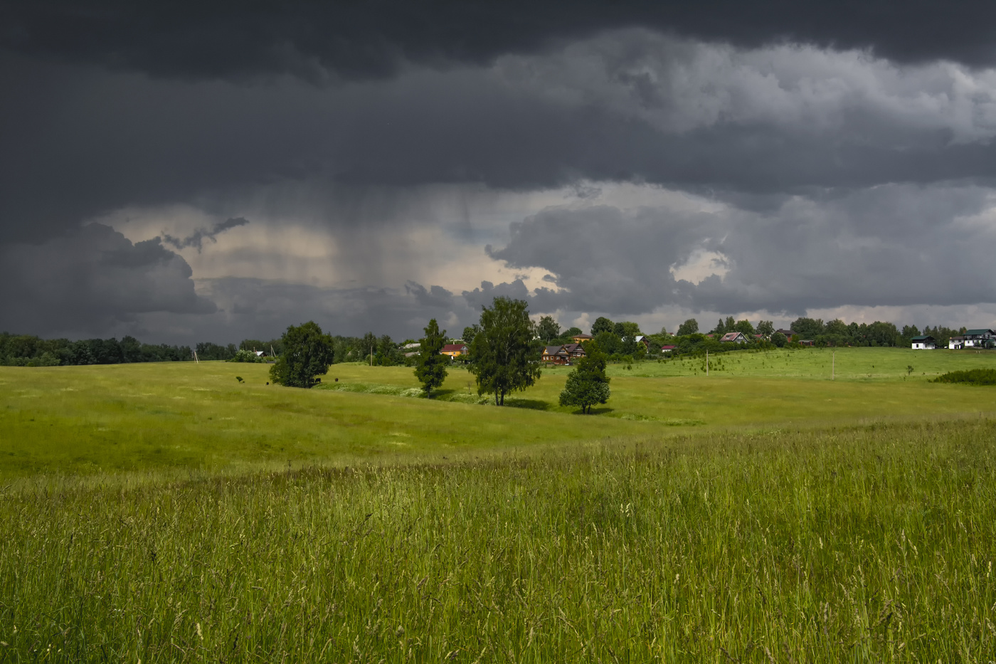 Буйное лето