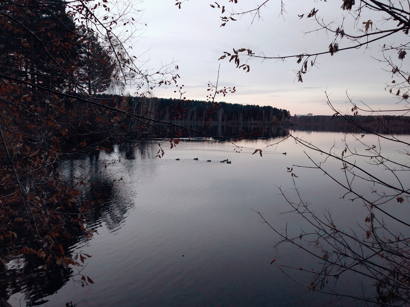 Утром в парке