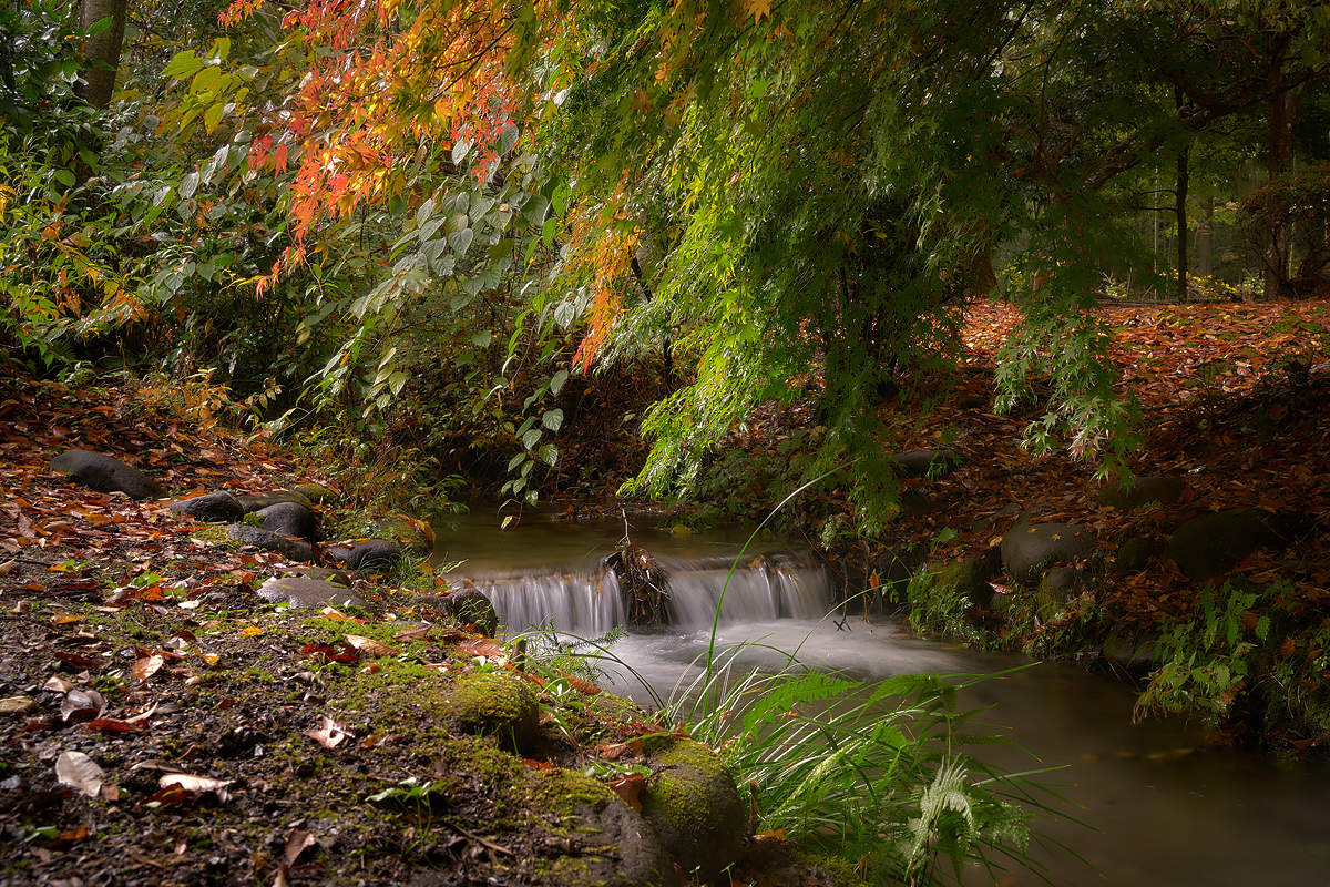 Осеннее настроение
