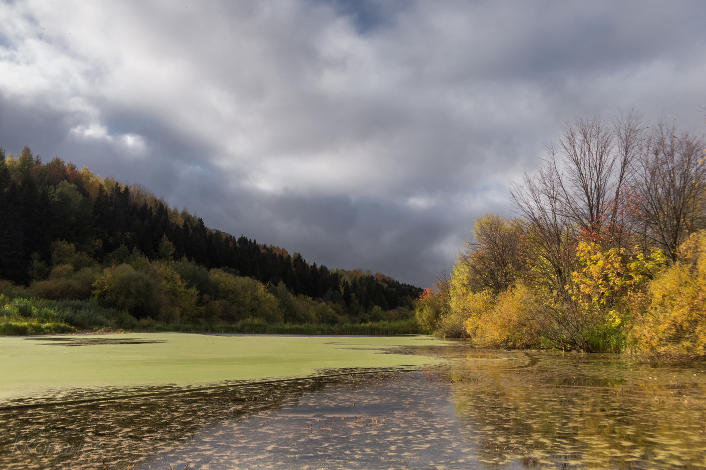 Курья Вятки
