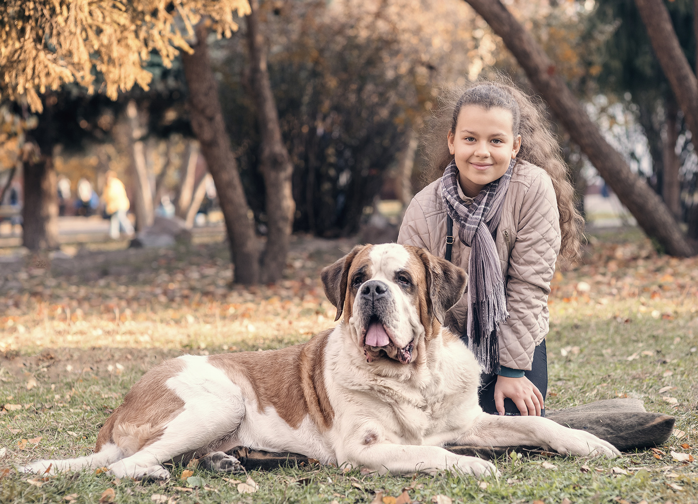 с сенбернаром