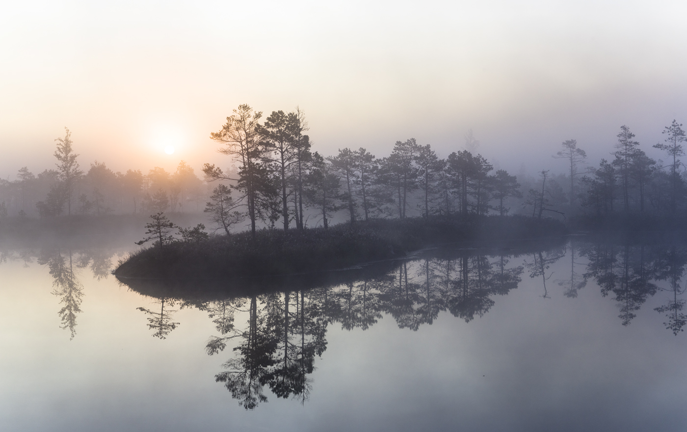 Плывущие в тишине