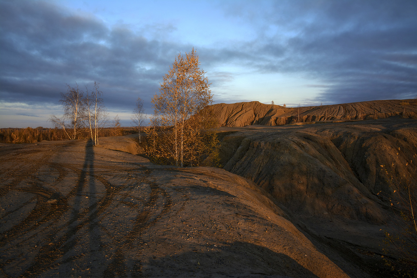 на Красной планете есть жизнь.