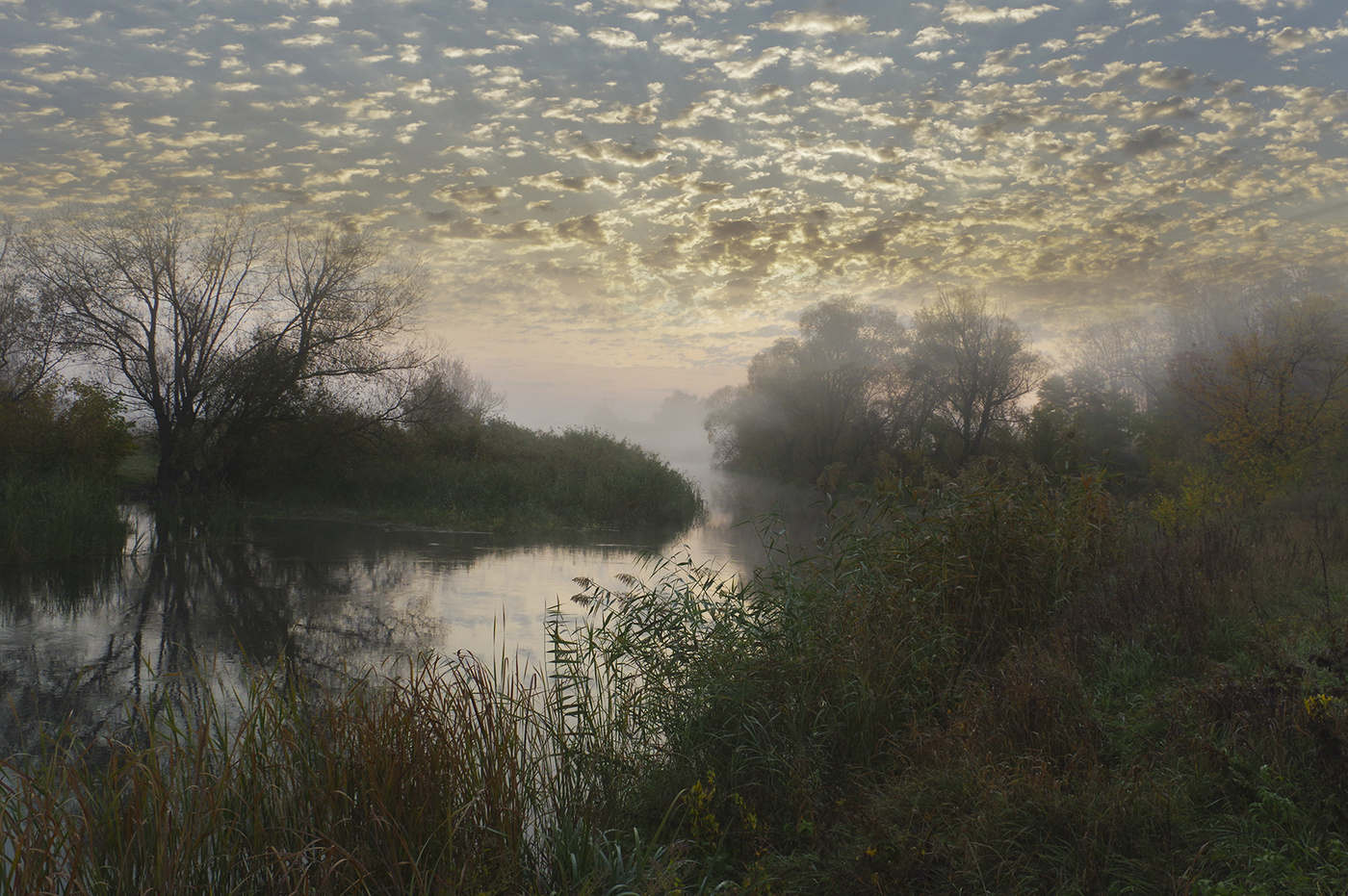 Утреннее пробуждение