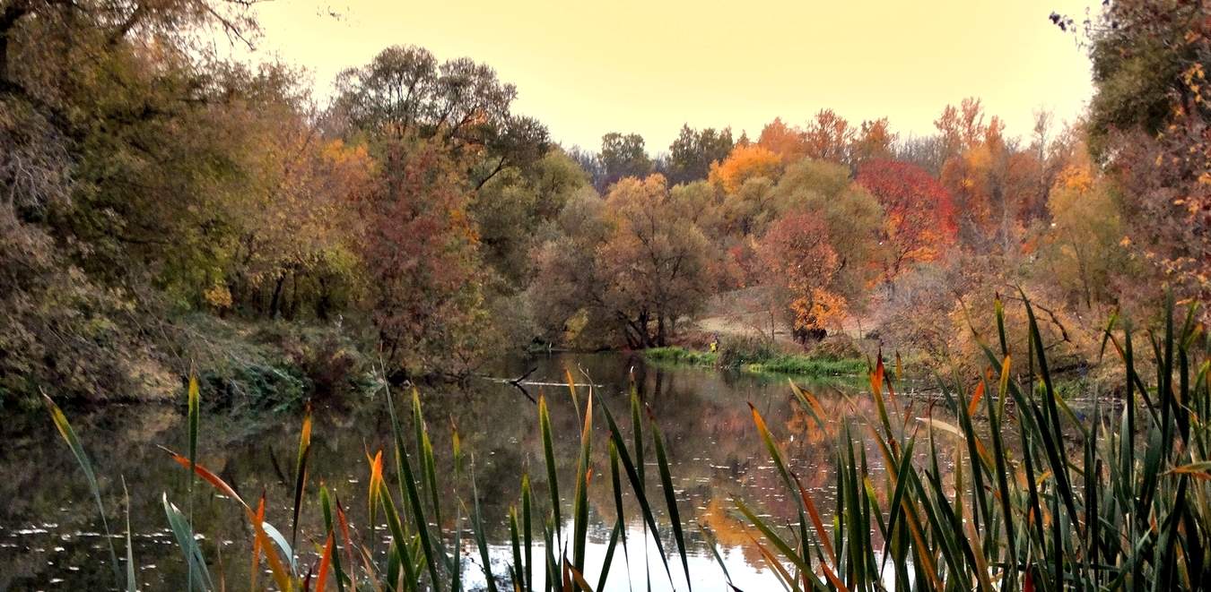 Осенняя зарисовка