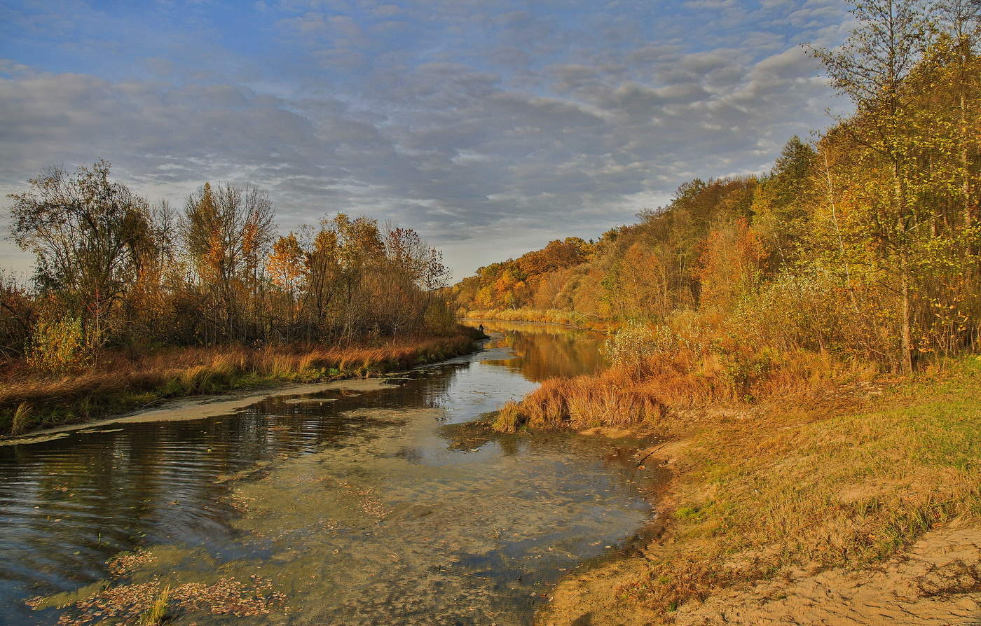 50 оттенков Осени.