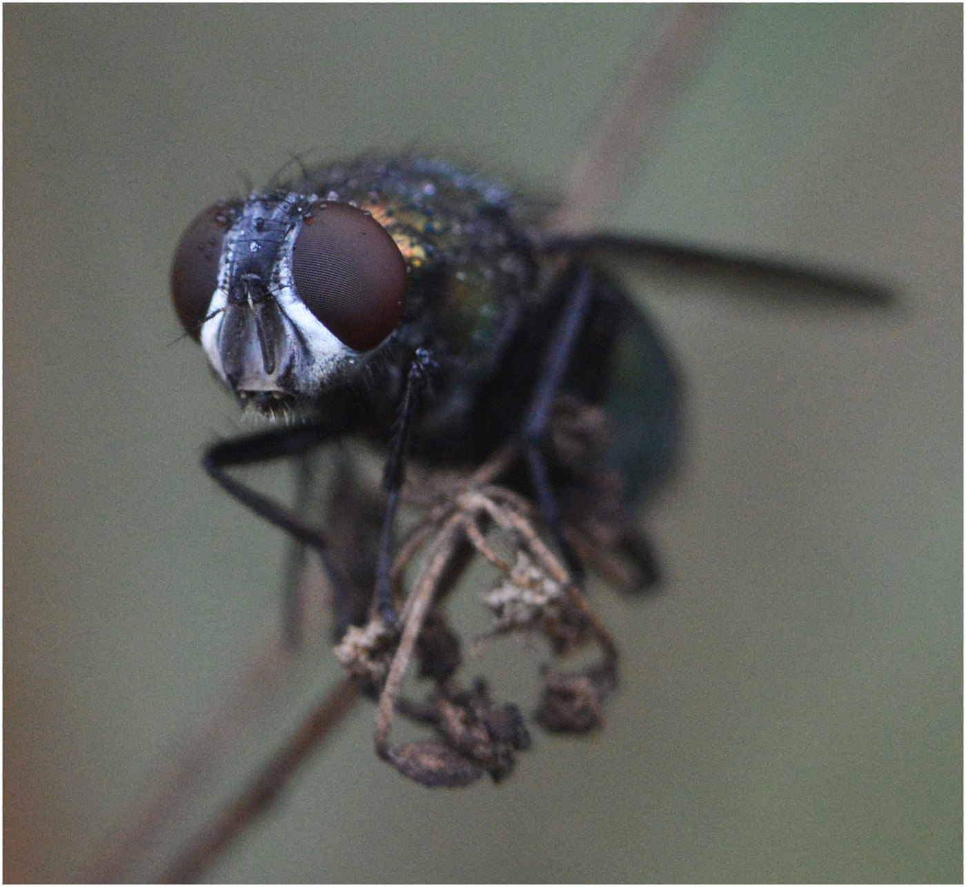 Холодно и настроения нет.
