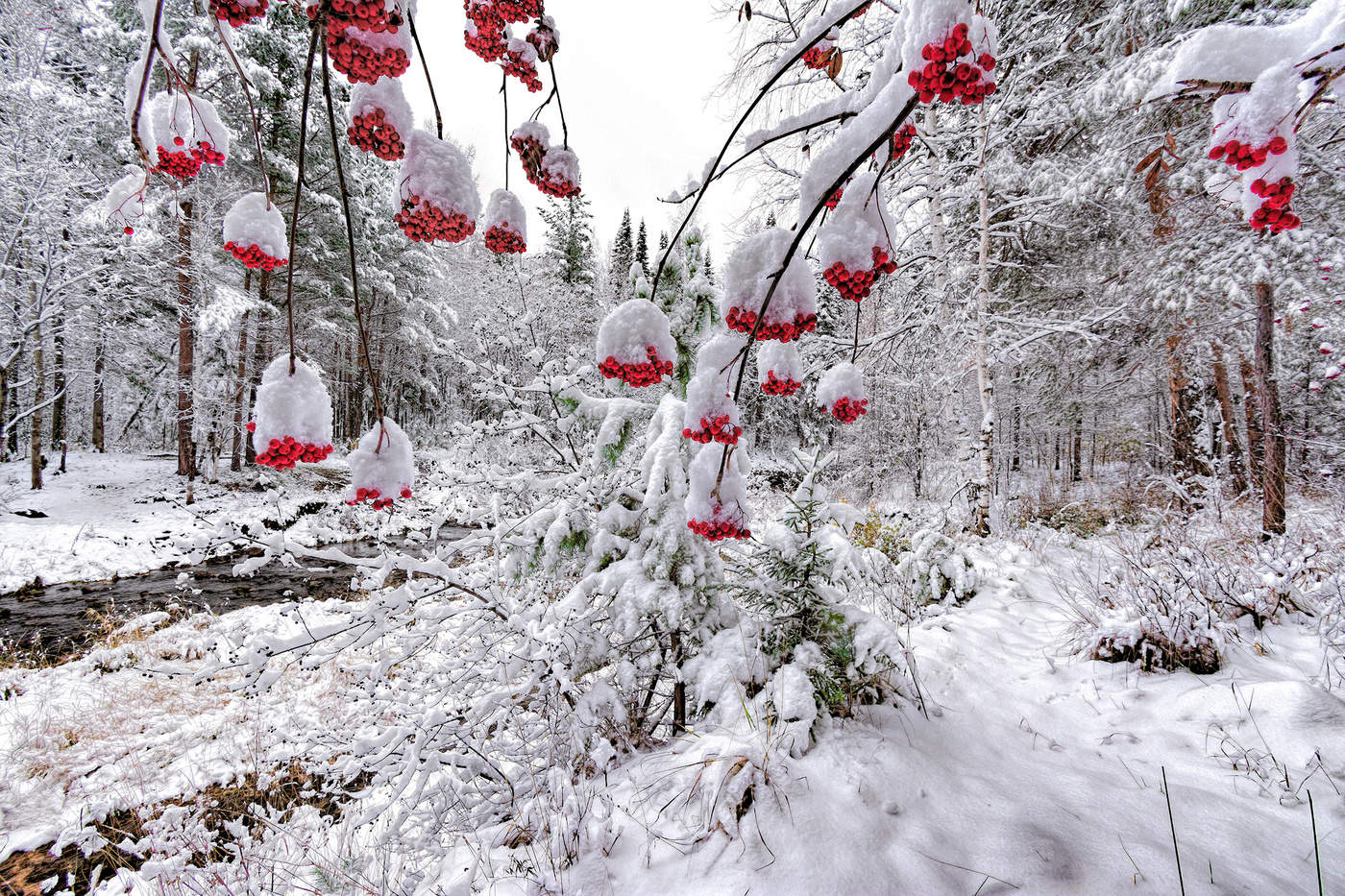 Октябрьский снег