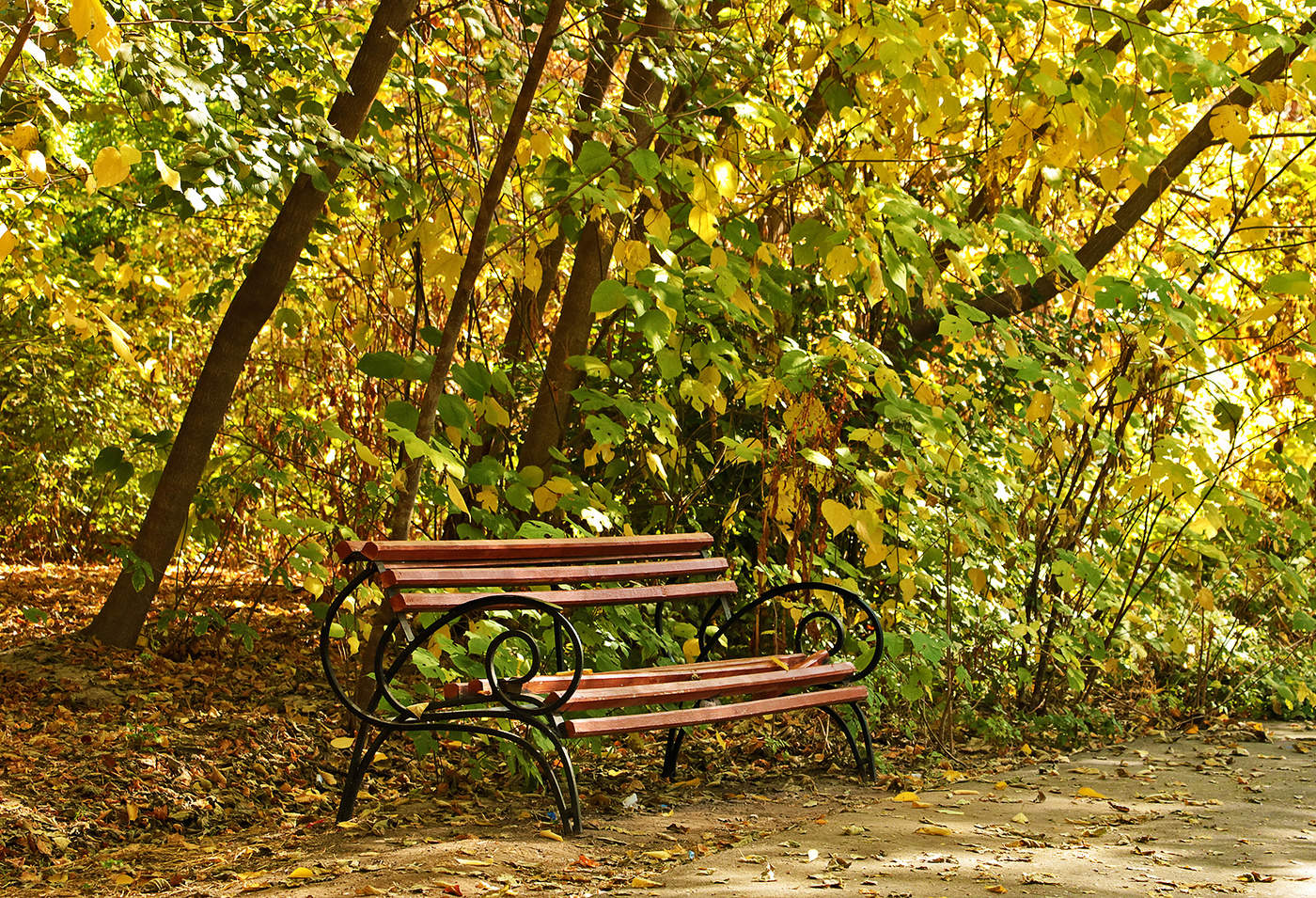 Присаживайтесь!