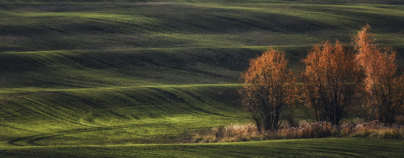 Немного Тосканы.