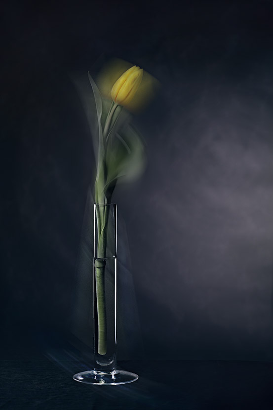 удовольствия одиночества