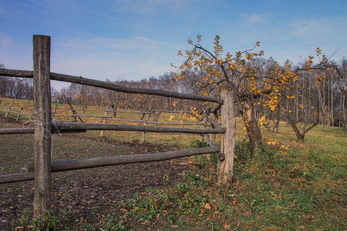 Облетает последний лист