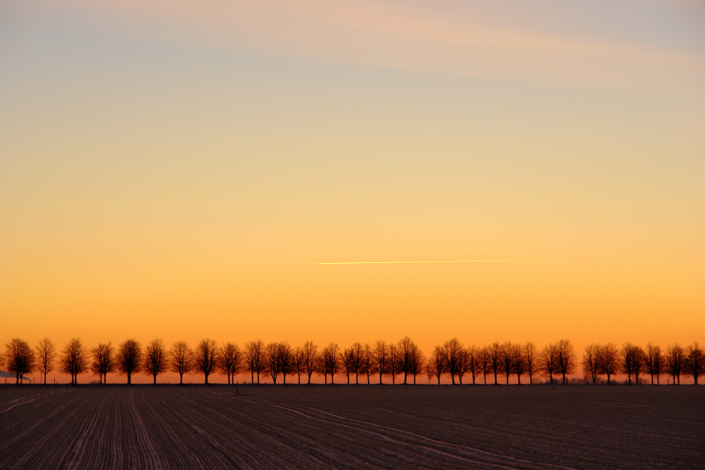 Предрассветная