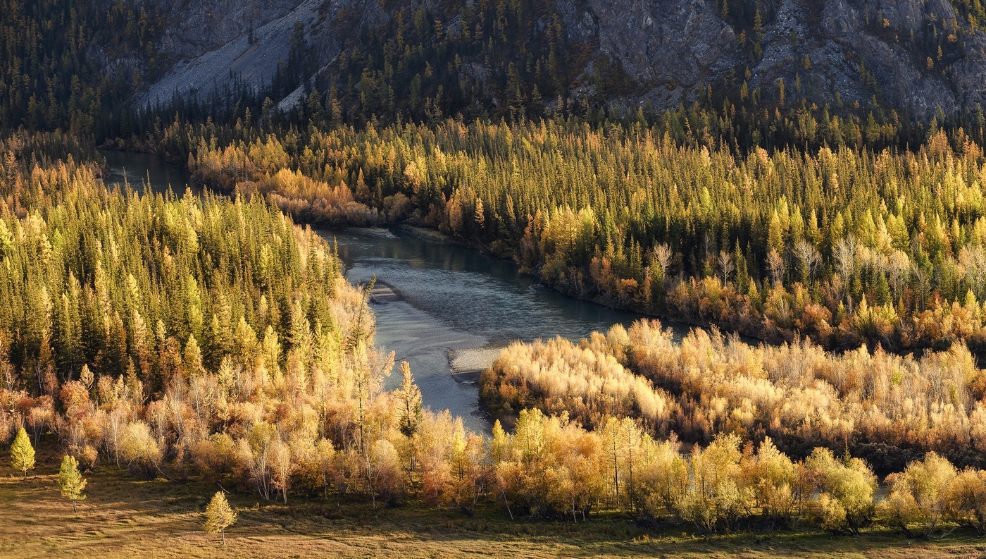 Осенняя Чуя.