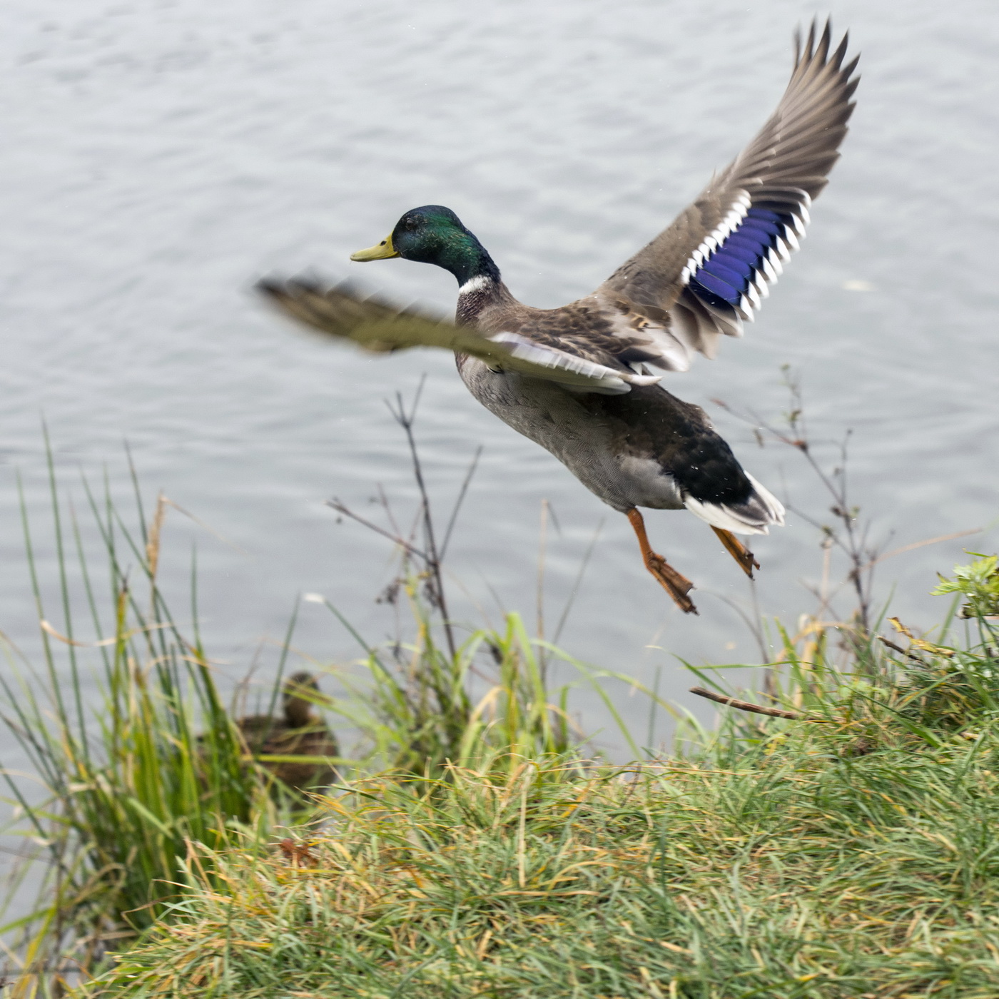 Неземные ощущения...