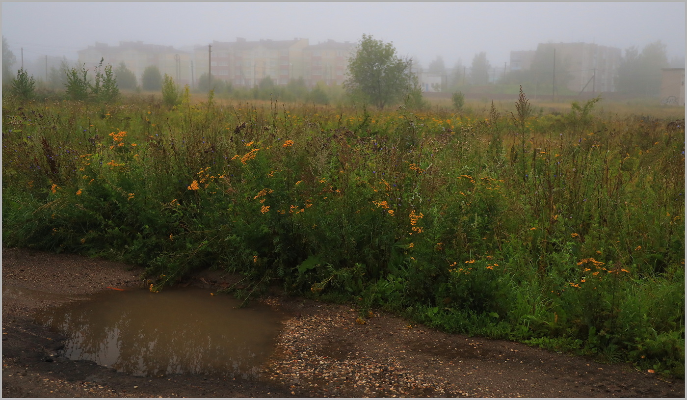 Туман в городе