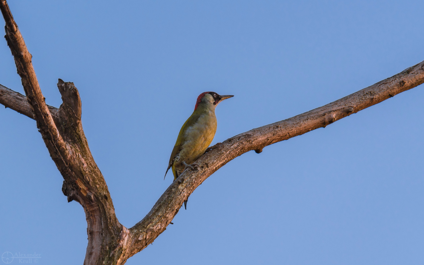 Любуясь закатом...
