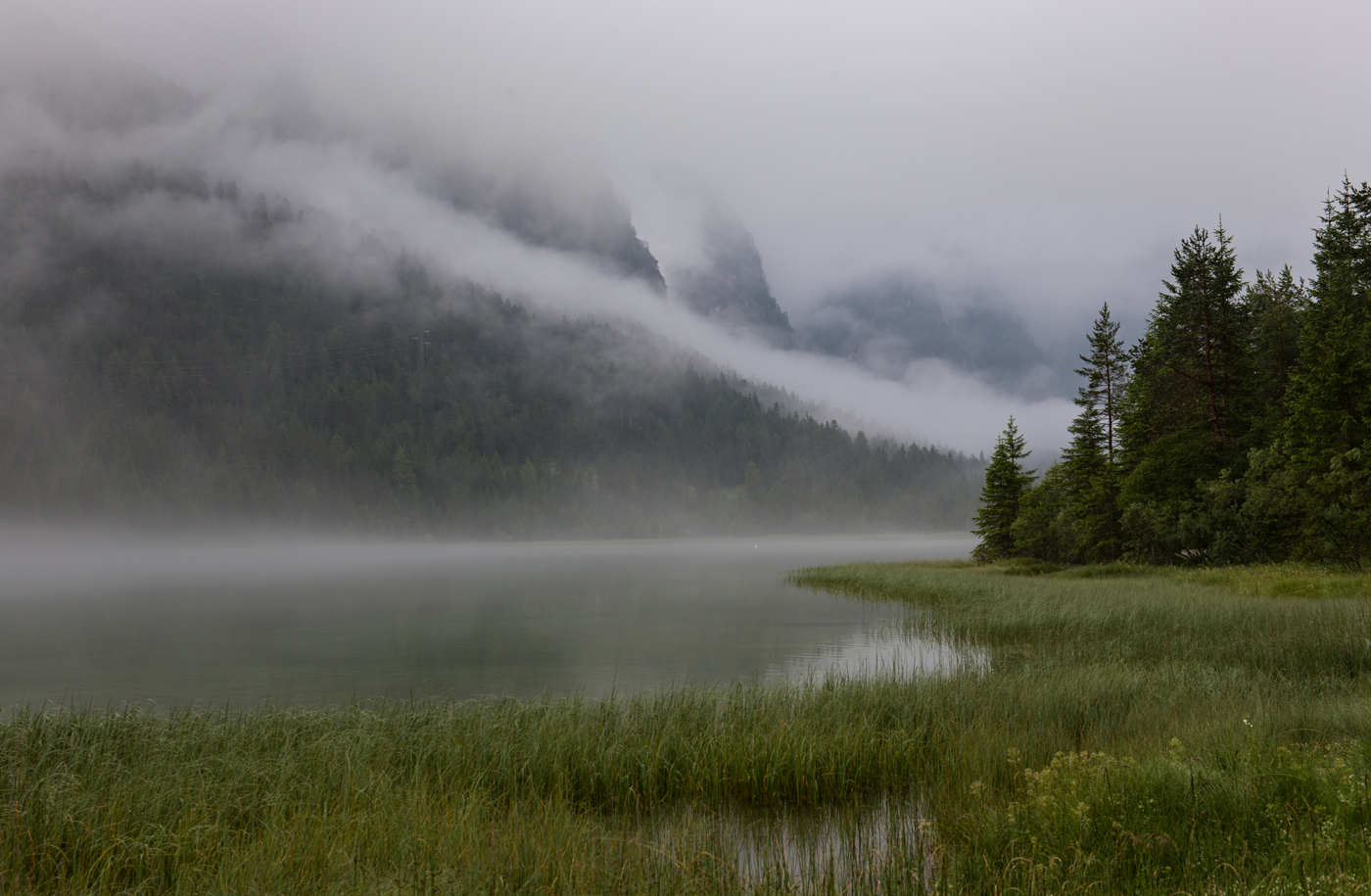 Сектор тумана