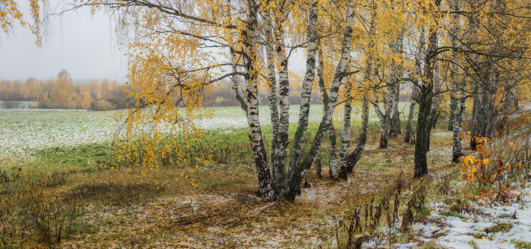 О прелести первого снега