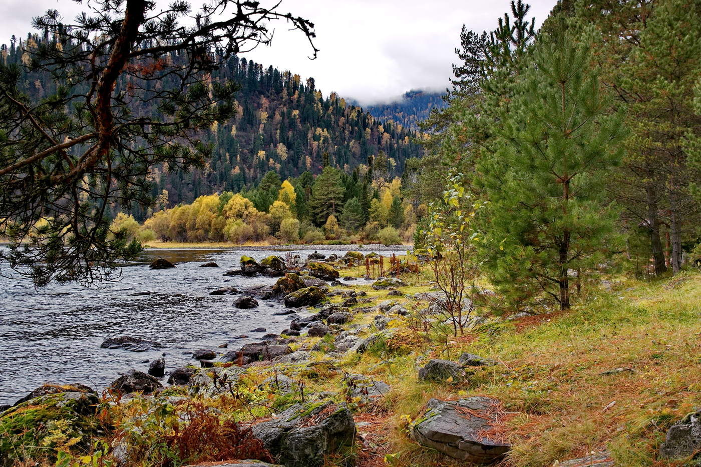 После дождя.