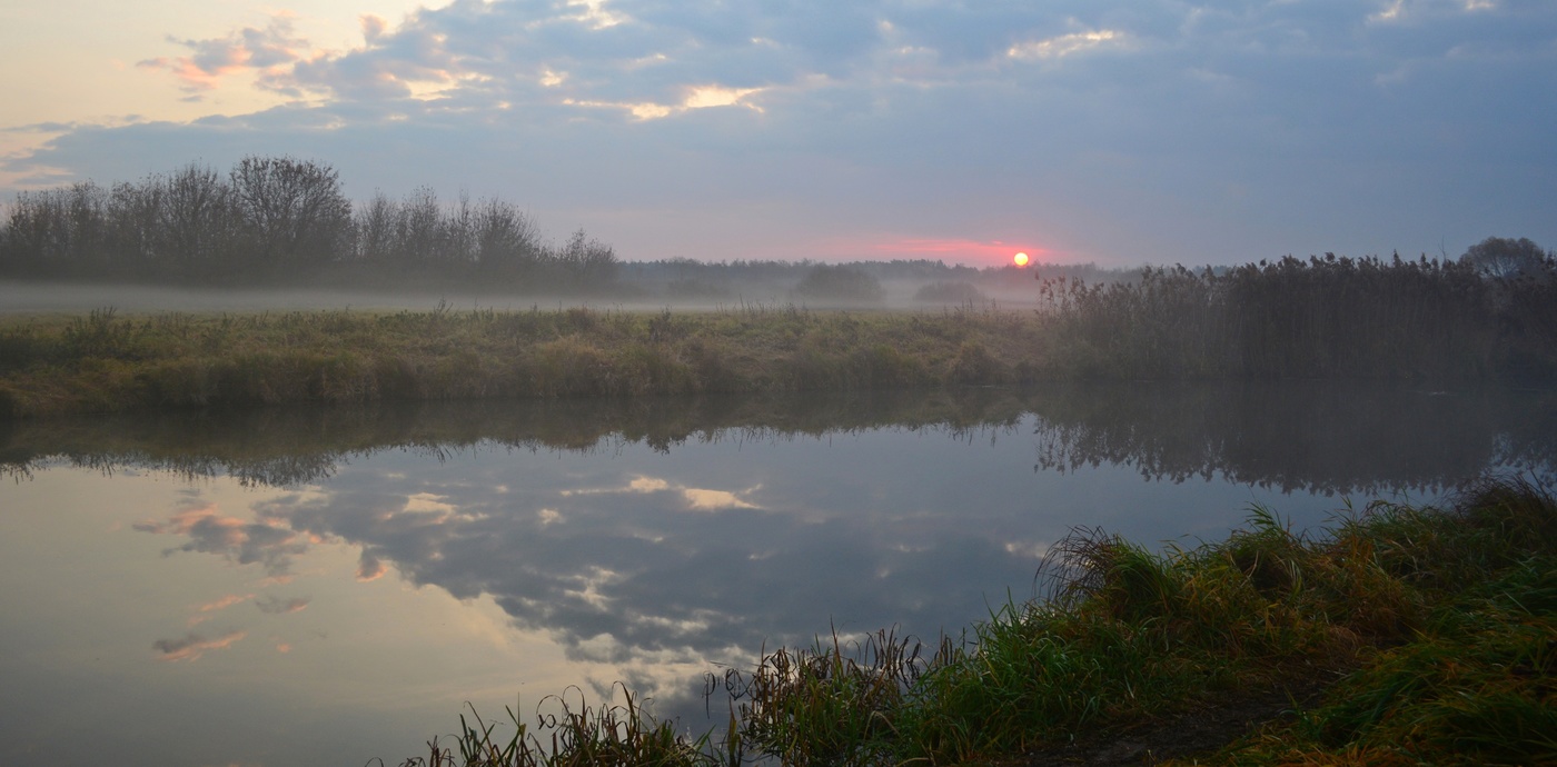 Осеннее утро