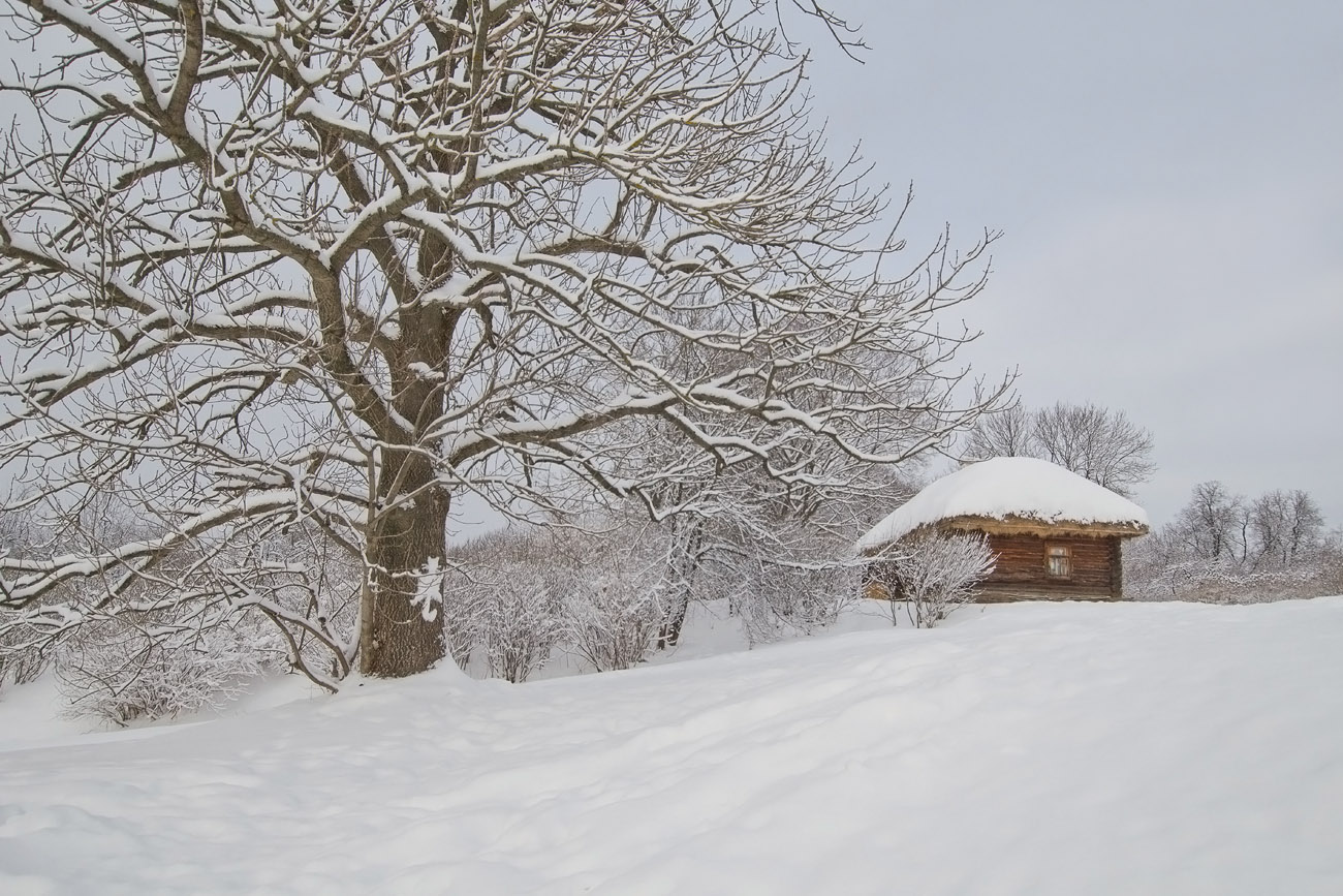 Зима в усадьбе Ясная Поляна
