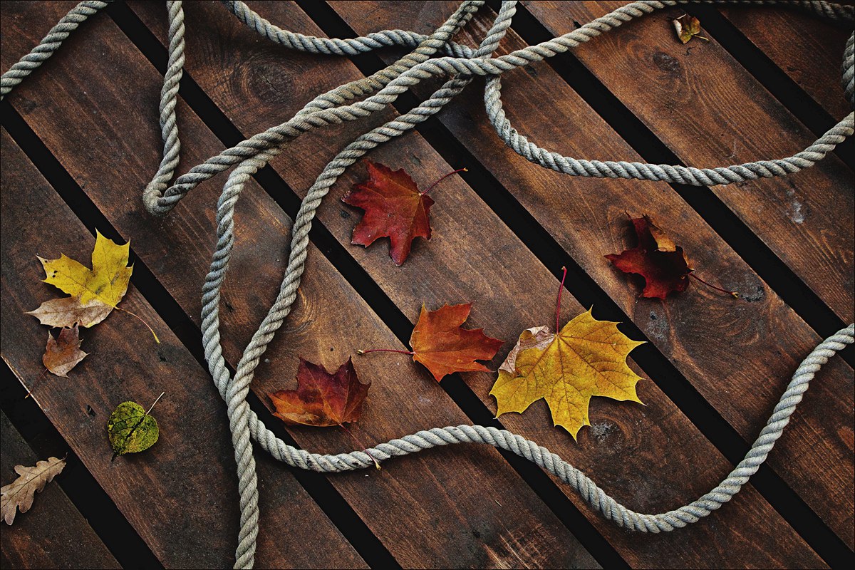 Осенний натюрморт.