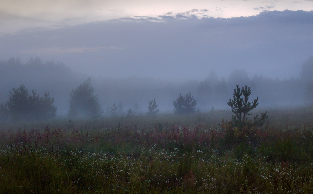 Там за туманами