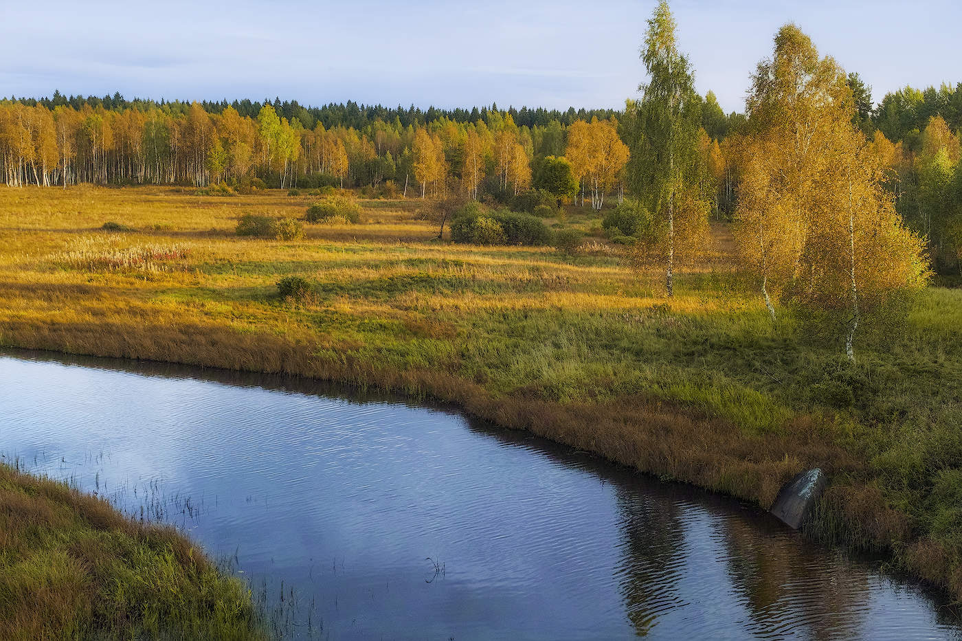 Мгновения золотой осени