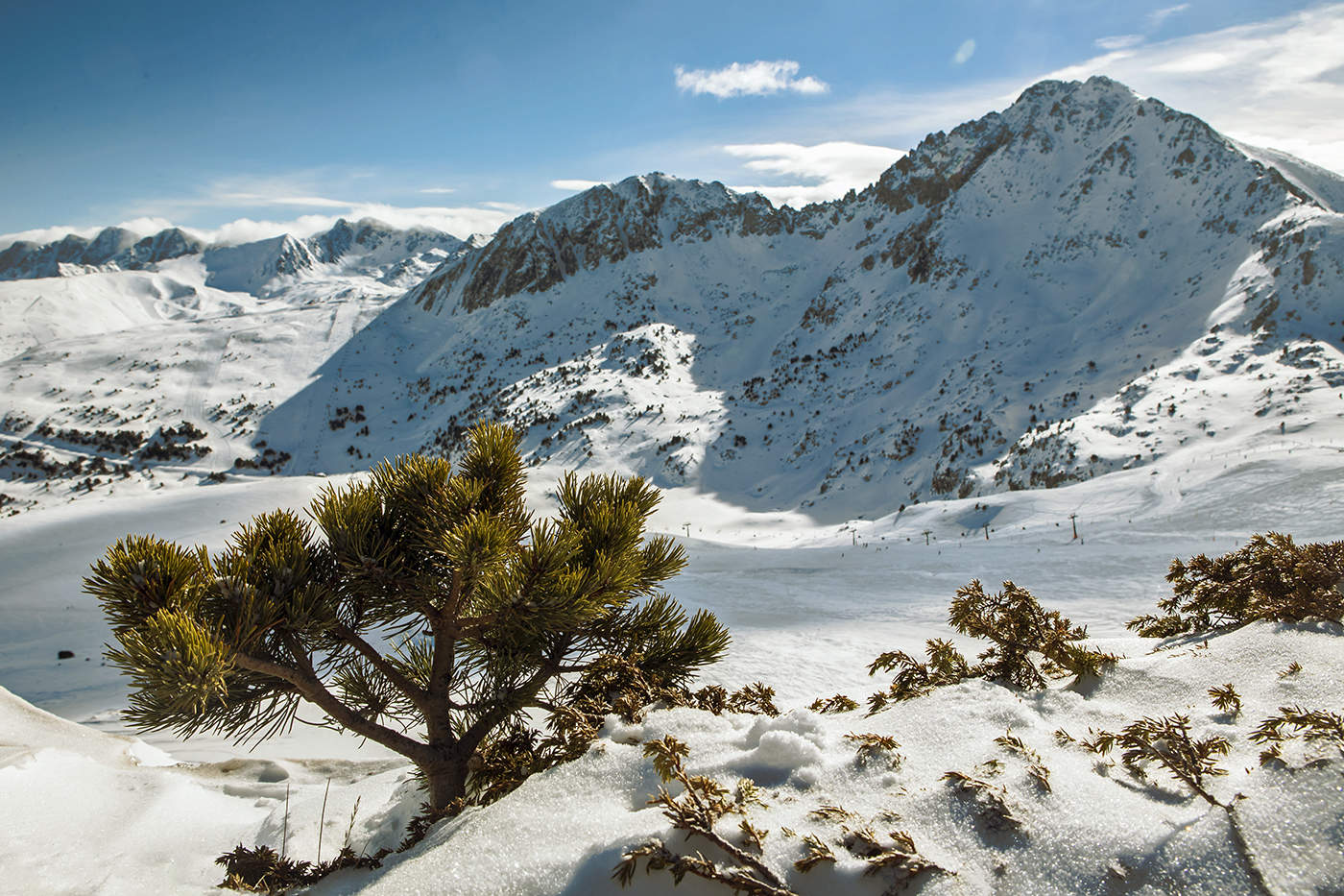 Основной элемент