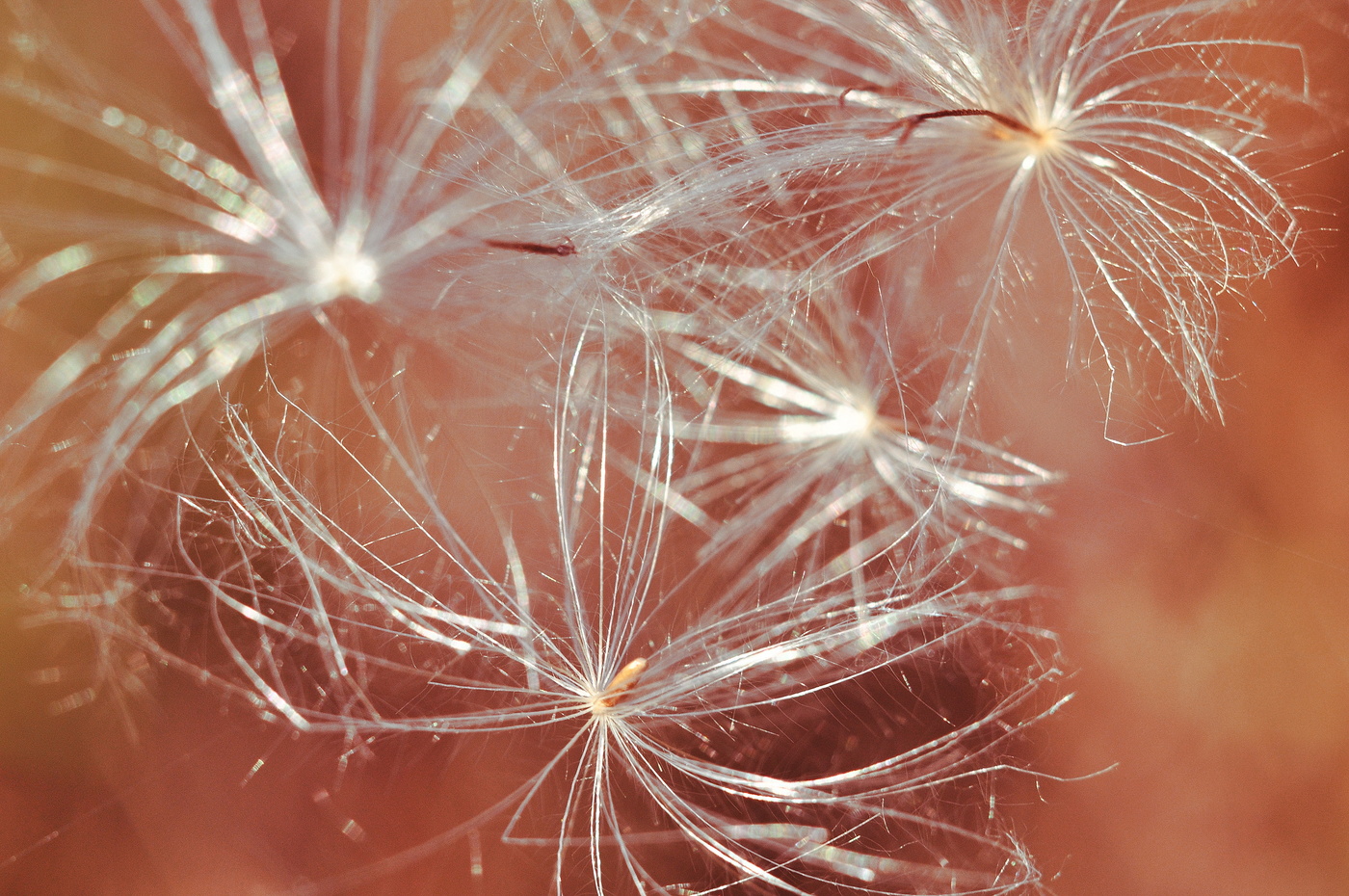 Осенний вальс.