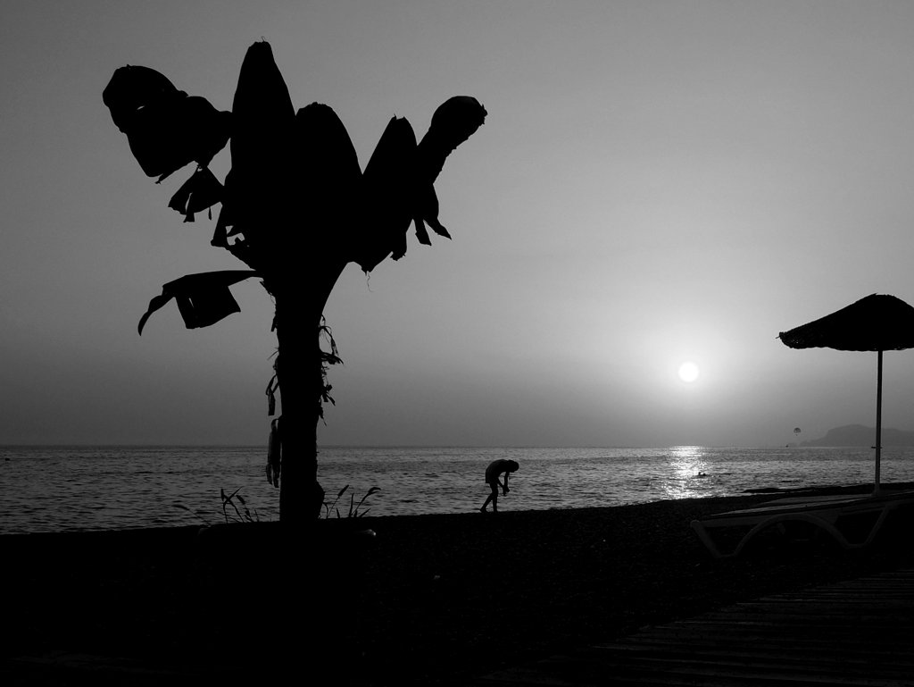 Основной элемент