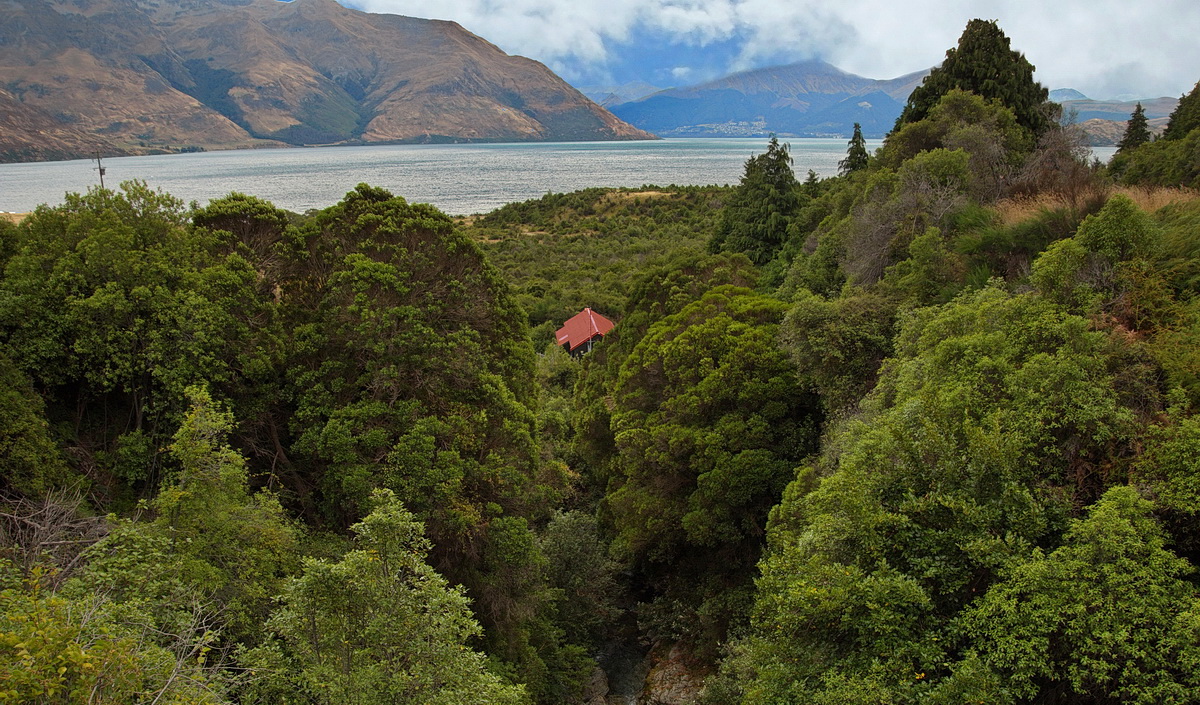 А дождь уже прошёл...
