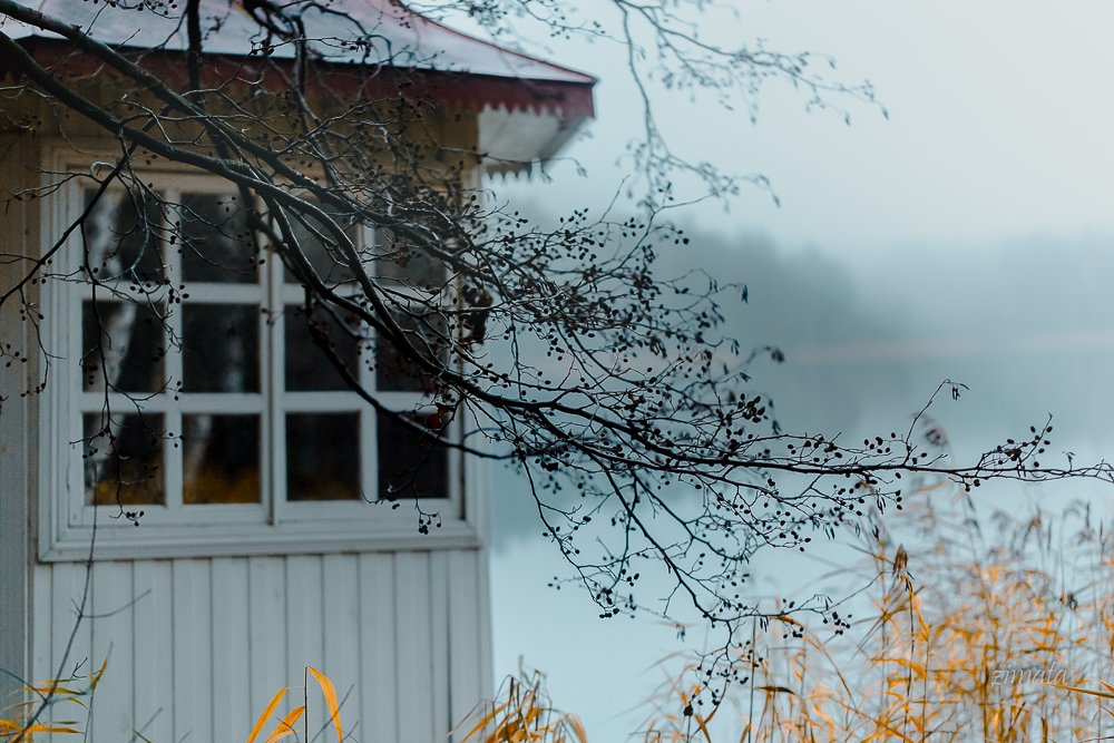 туман на озере