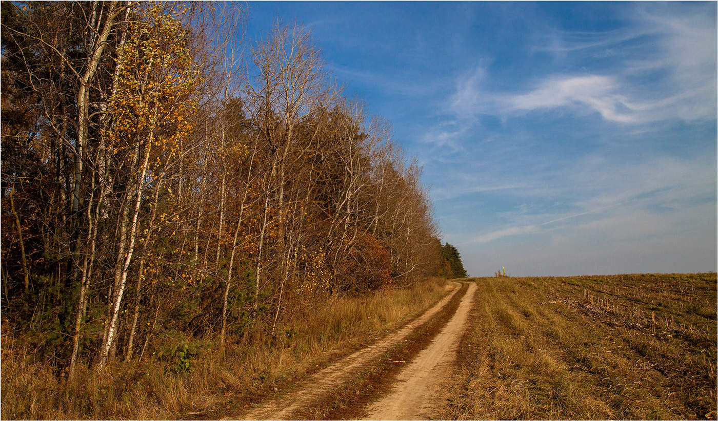 Осень золотая
