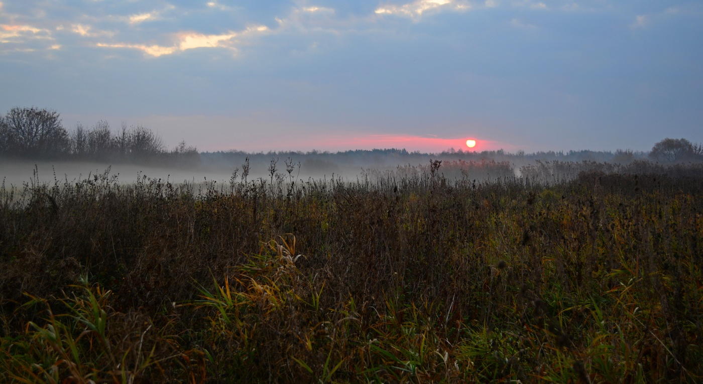 Осенний рассвет