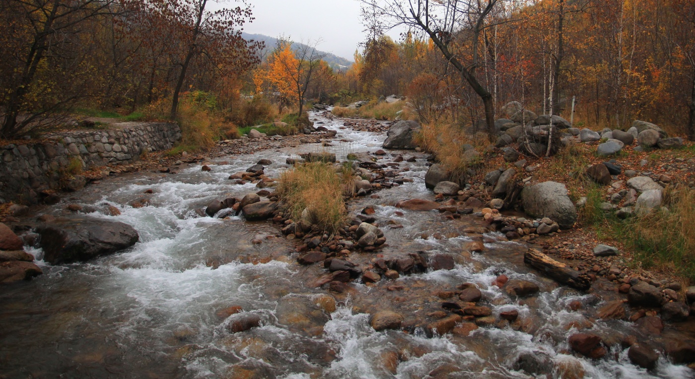 Уходящая осень