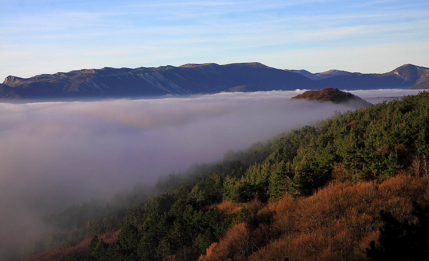 Утренний пейзаж