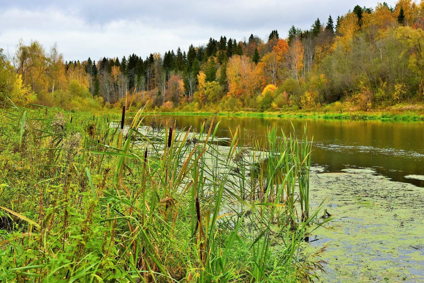 "Неровный день в тоскующей дремоте ..."
