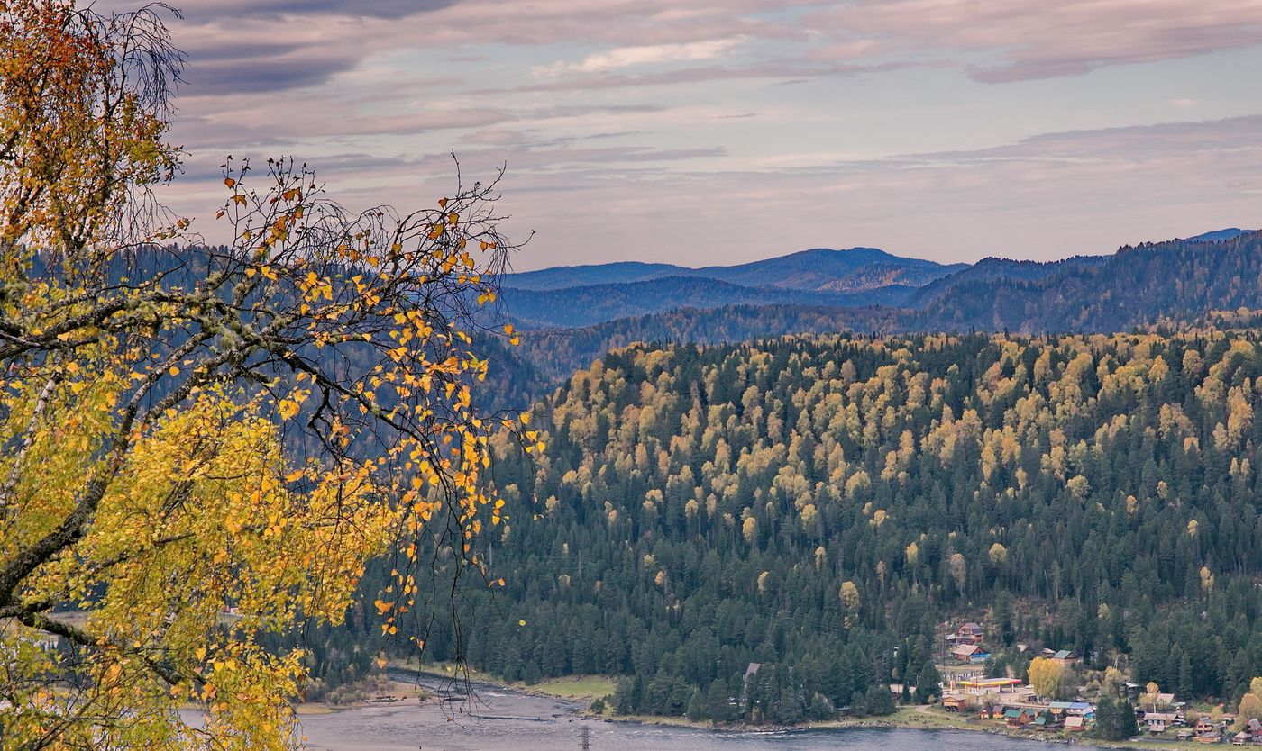 С высоты птичьего полёта.