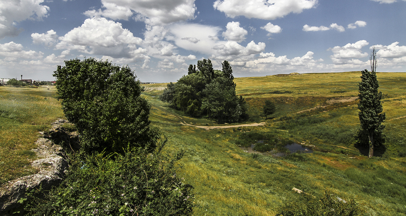 Уголок природы