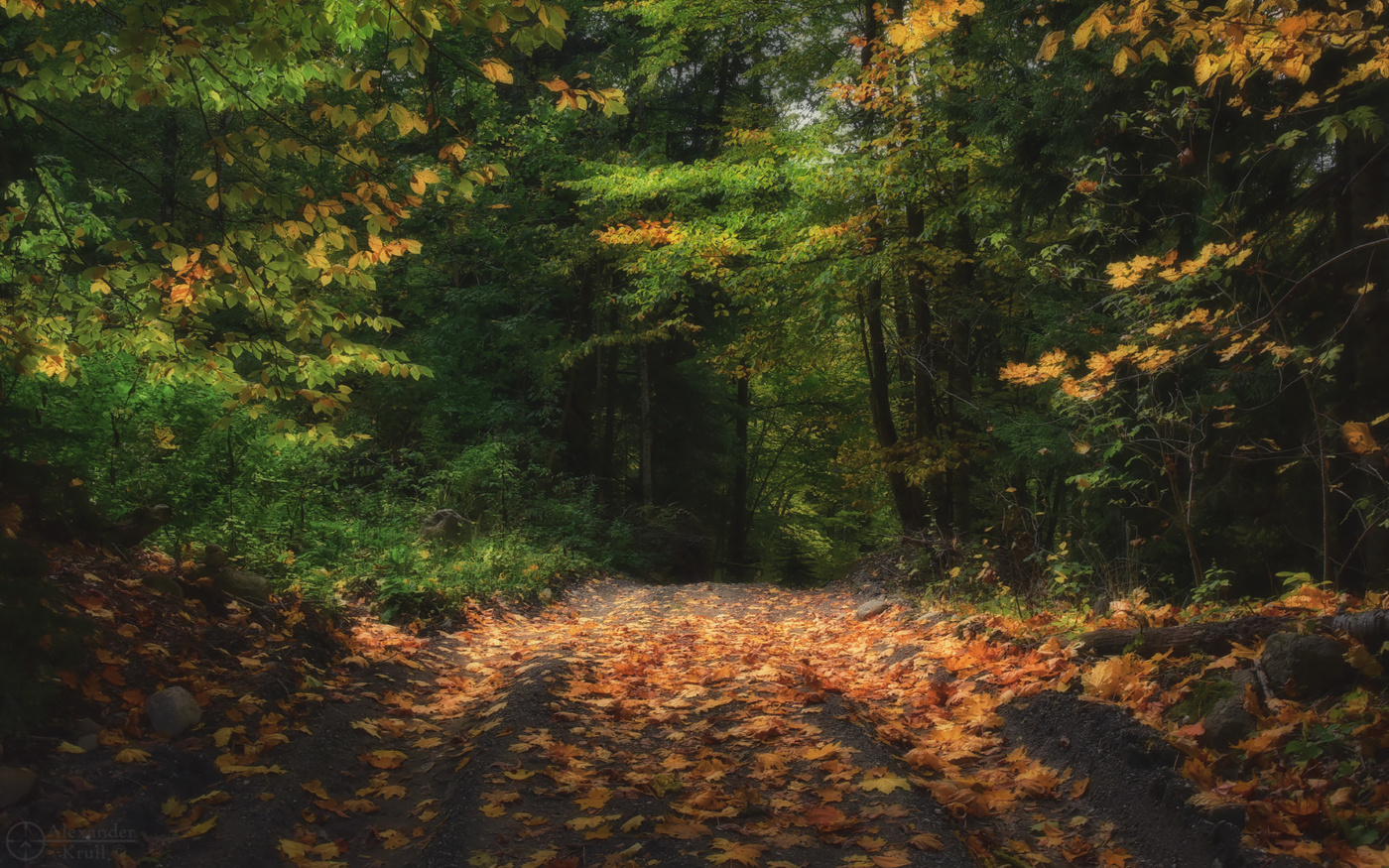 Куда манят осенние дорожки...