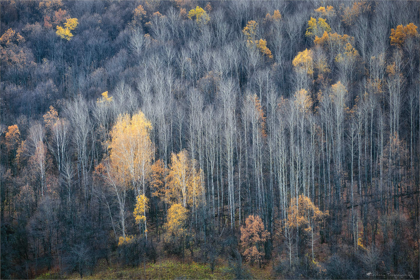 Последние...